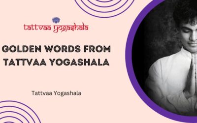Golden Words From Tattvaa Yogashala Founder & Yoga Teachers