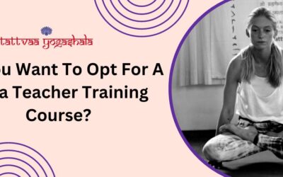 Do You Want To Opt For A Yoga Teacher Training Course?