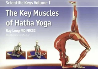 The Key Muscles Of Yoga