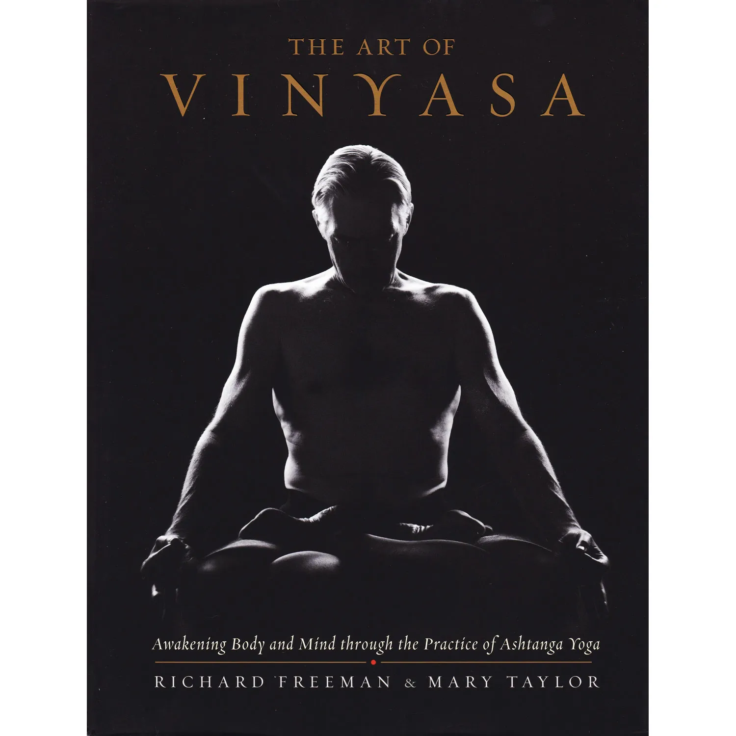 The Art Of Vinyasa