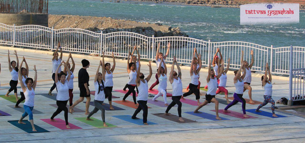 Yoga Centre's Mission Yoga Centre Mission
