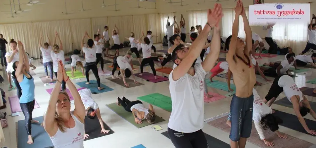 The 200 hour yoga teacher training at Tattvaa Yogashala, Rishikesh