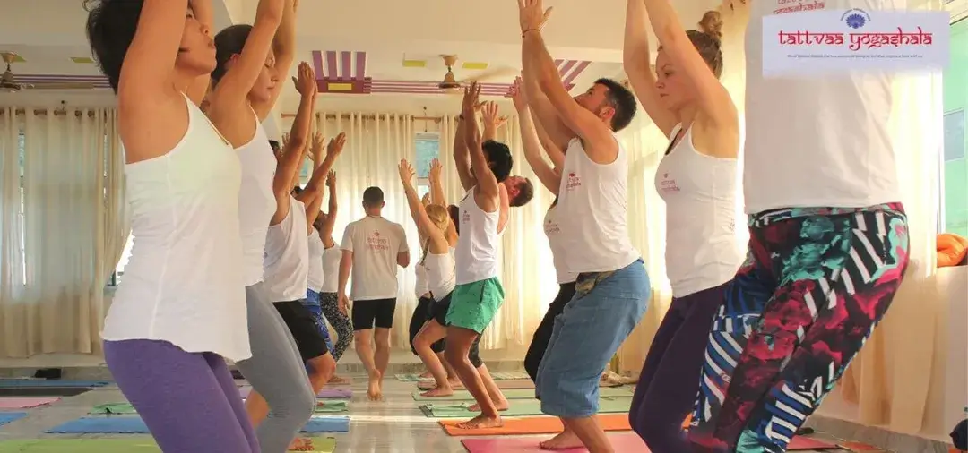 The 200 hour yoga teacher training at Tattvaa Yogashala, Rishikesh