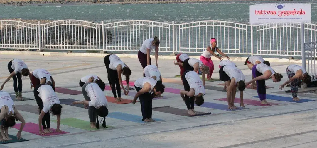 The 200 hour yoga teacher training at Tattvaa Yogashala, Rishikesh