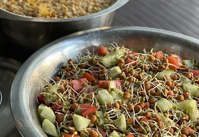 Sattvic Vegetarian Meals For YTTC Students