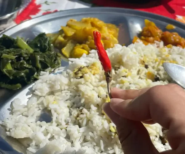 Fresh vegetarian food