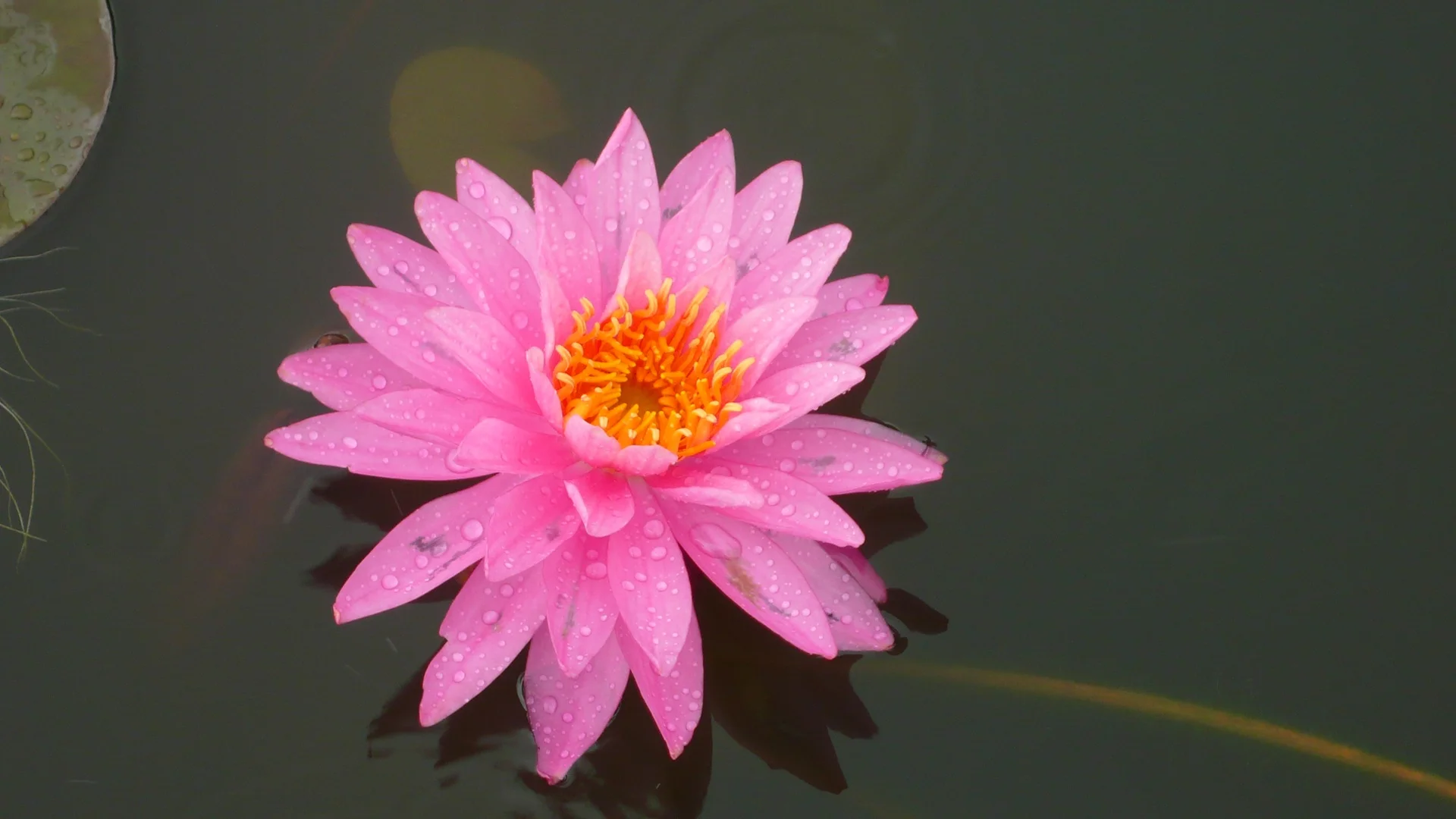 Yoga and meditation retreat in Rishikesh, India at Tattvaa Yogashala