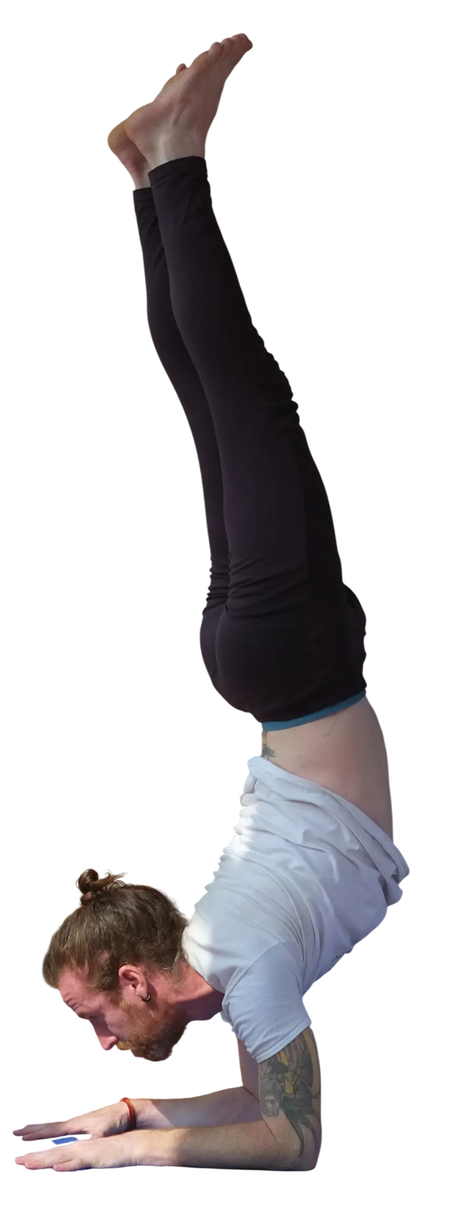 Pincha mayurasana, the forearm balance, held at Tattvaa Yogashala in Rishikesh