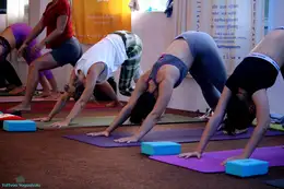 500 Hour Hatha Yoga TTC in India