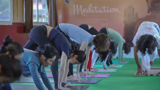 Master Level Yoga Teacher Training in India
