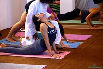 Multistyle Yoga in India