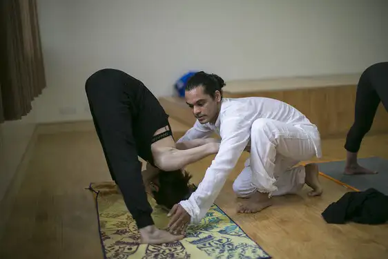 Art of Adjustment Yoga Teacher Training in India